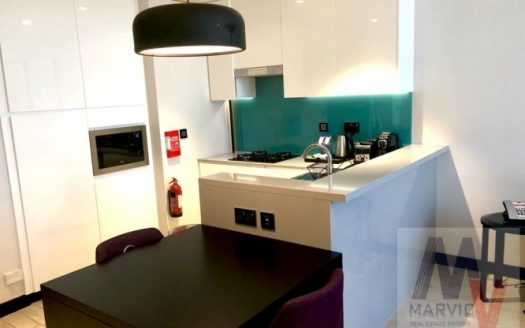 1 BR / Bills Included / Excellent Furnished / Big Kitchen