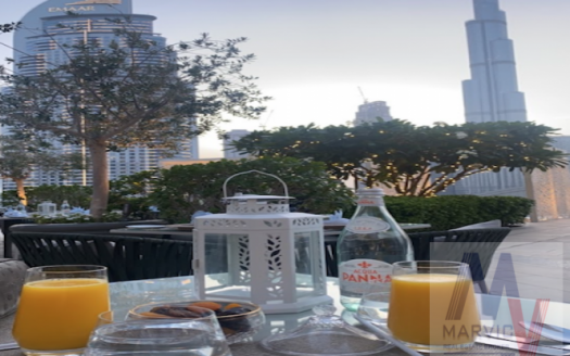 Amazing Burj View /  High Floor /  Vacant
